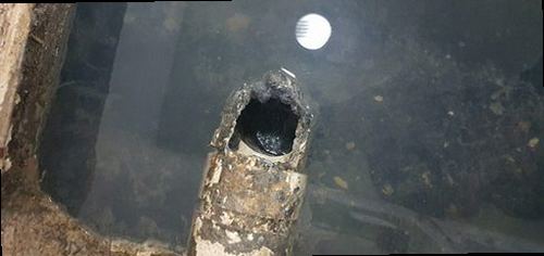 부산진구 하수구막힘 당감1동 하수구막힘 변기 휴지 막힘 직접 해보니 알게 된 점검 기준